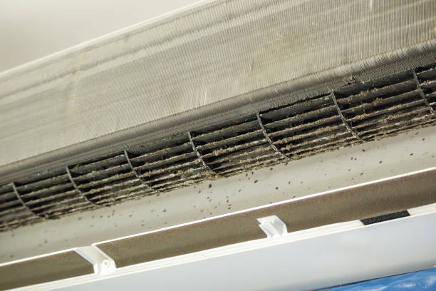 Best Emergency Air Duct Cleaning  in Vidor, TX