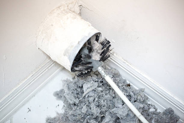 Best Home Air Vent Cleaning  in Vidor, TX